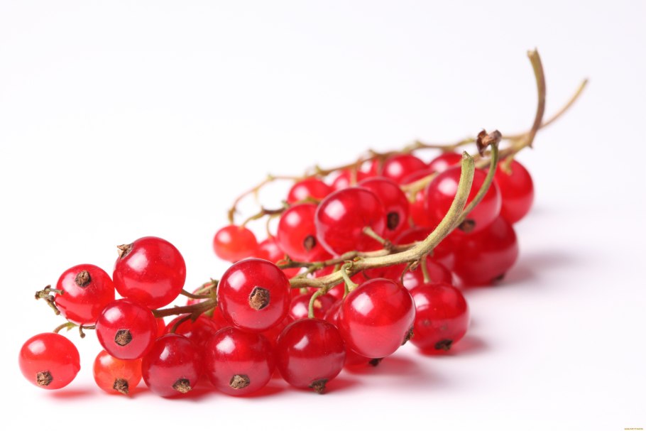 Красная смородина витамины