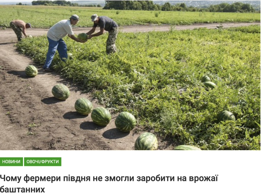 Уборка арбузов