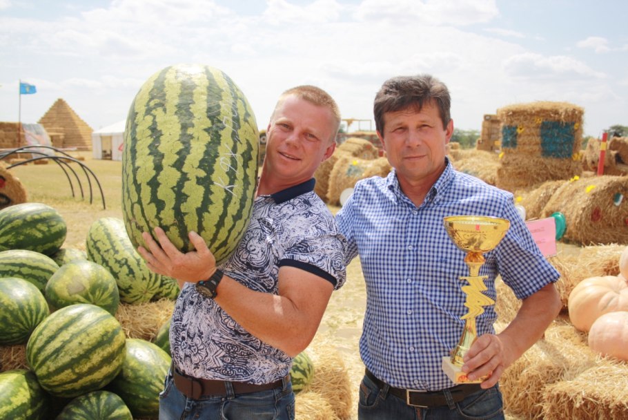 Бахча Пономарева Ставропольский край