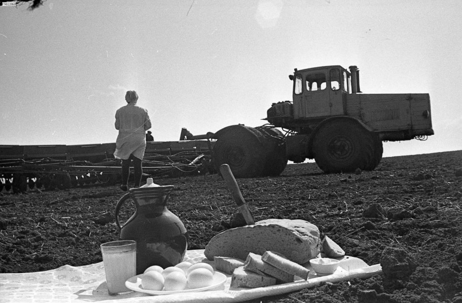 Посевная в СССР