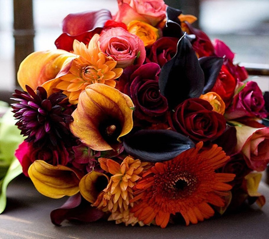 Калла (Zantedeschia) Самур