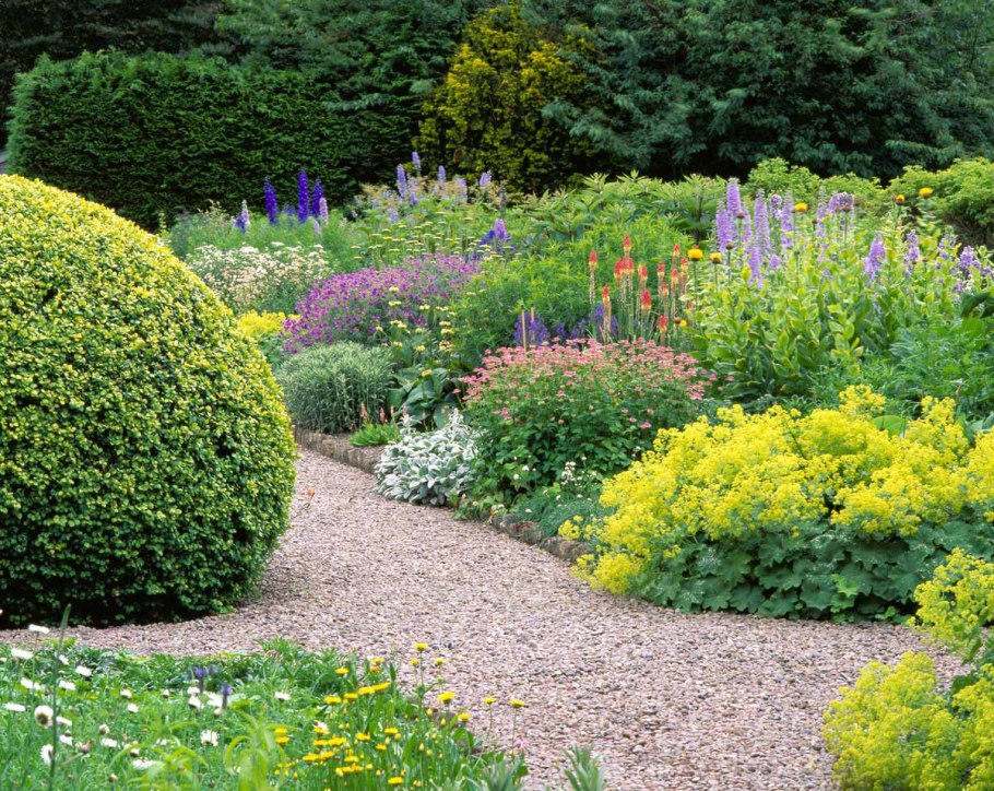 Многолетники в миксбордере