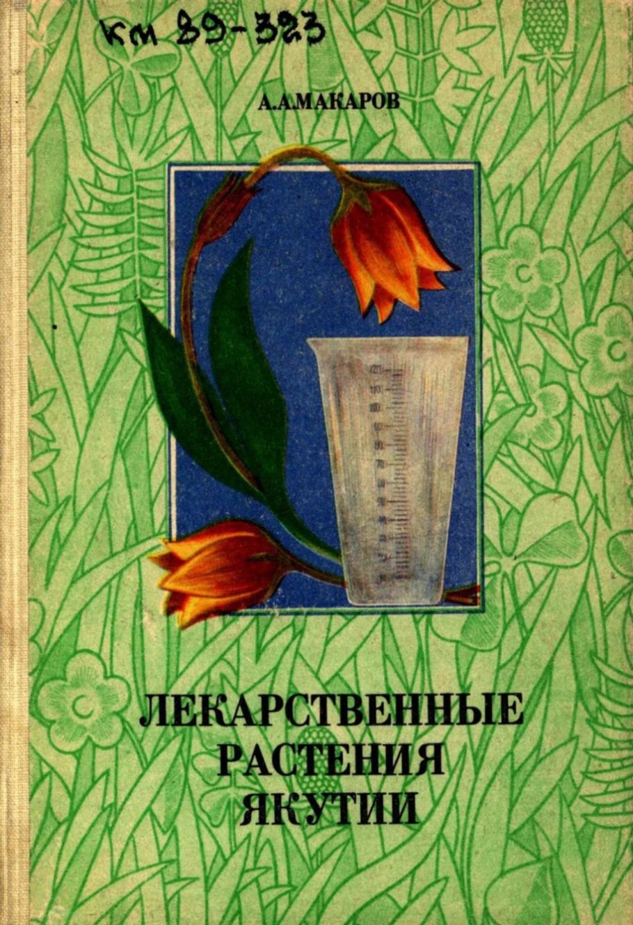 Кислица ягода Лесная