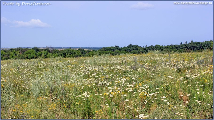 Приспособление растений к климату