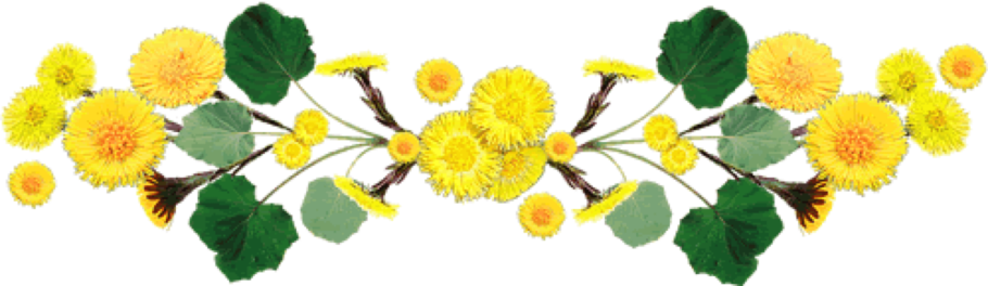 Мать и мачеха на прозрачном фоне