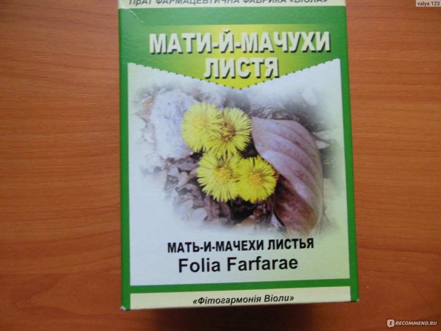 Трава мать и мачехи от кашля