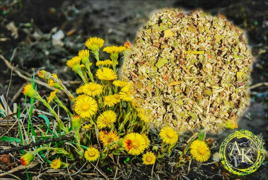 Мать и мачеха на прозрачном фоне