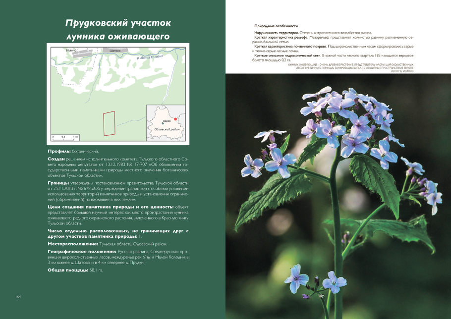 Прудковский участок лунника оживающего