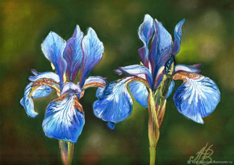 Морин Бейнбридж австралийский художник ирисы