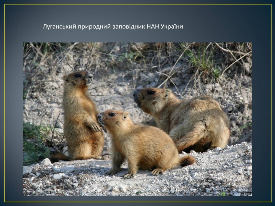Провальская степь Луганская область Королевские скалы