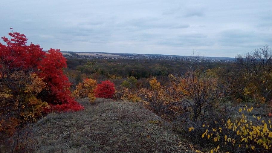 Ландшафтный парк Донецкий Кряж