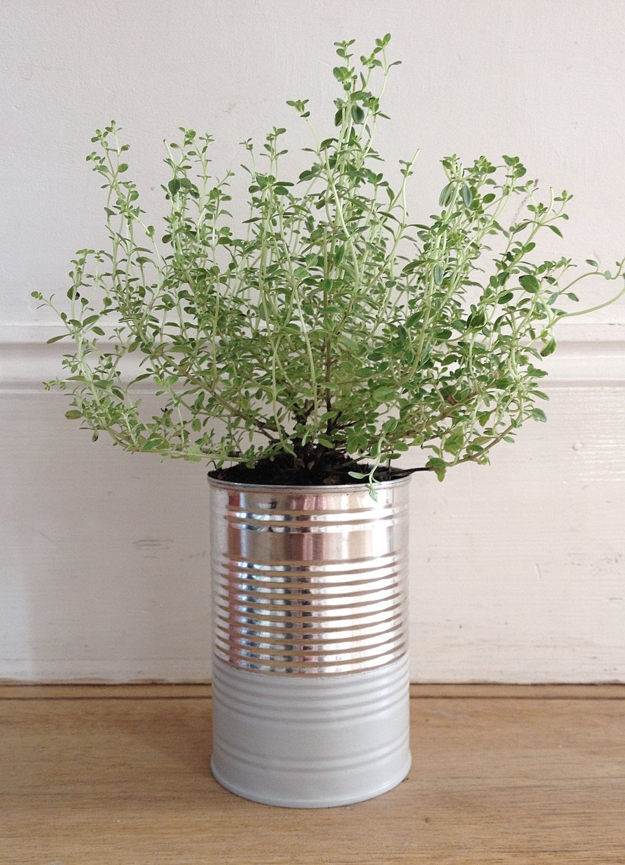 Чабрец в интерьере