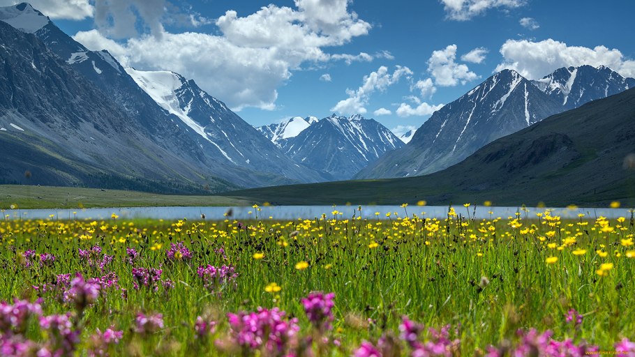 Горы Алтайского края