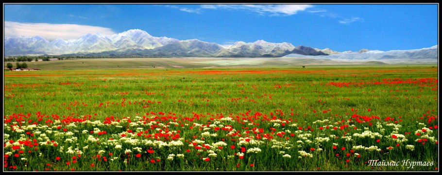 Жайлау Казахстана