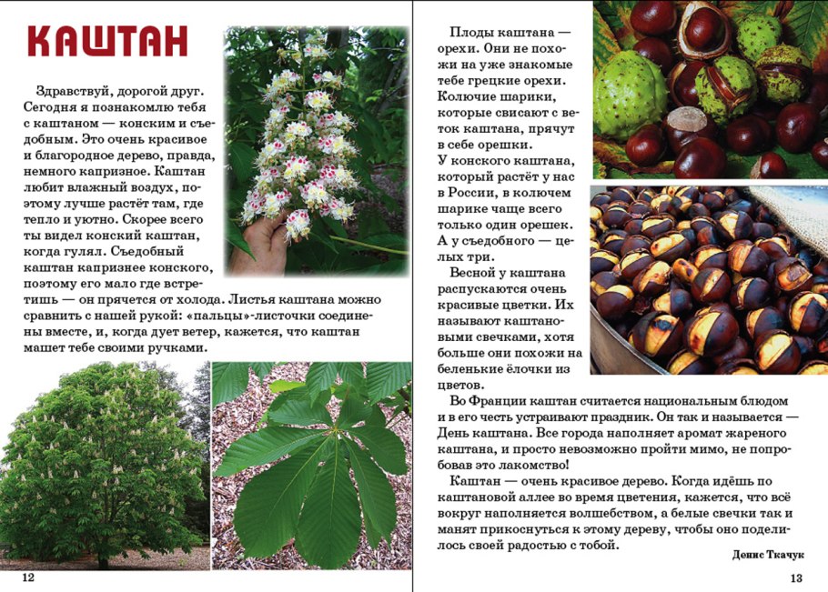 Органоиды клетки строение и функции таблица