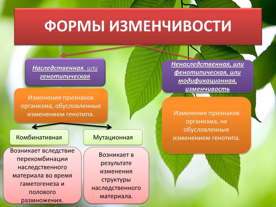 Биотические экологические факторы среды