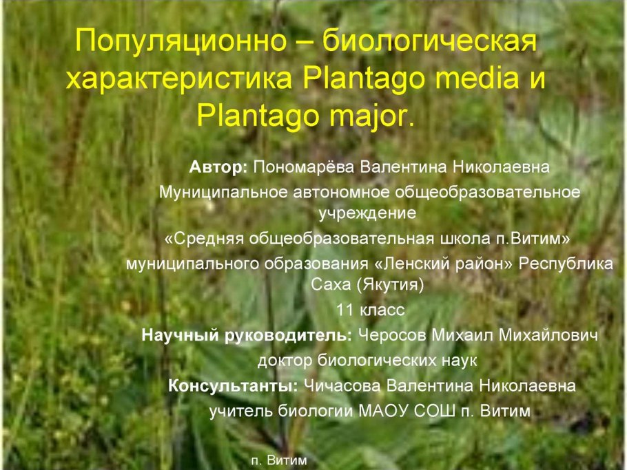 Дуб интересные факты для детей