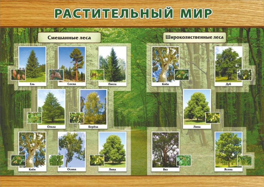 Животные России на карте