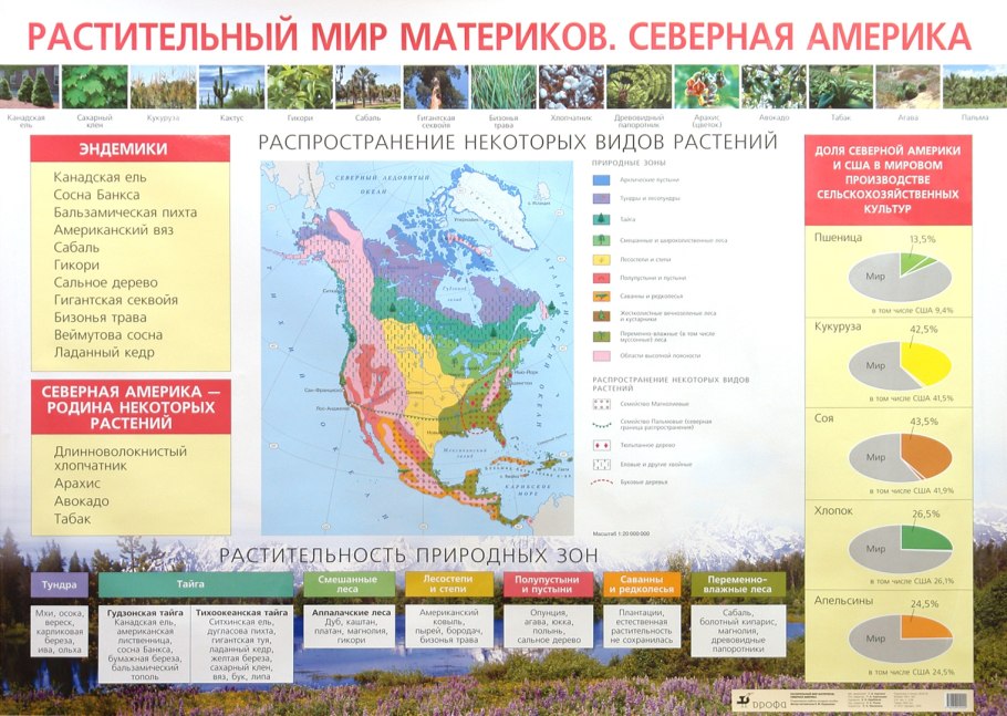 Растительный и животный ли материков?
