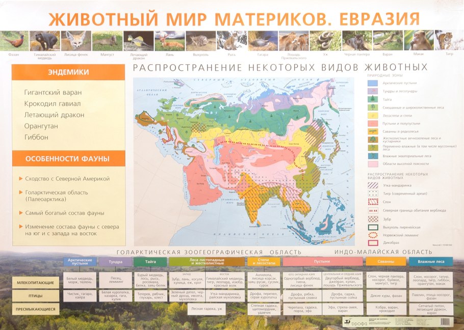 Растения Северной Америки и Евразии