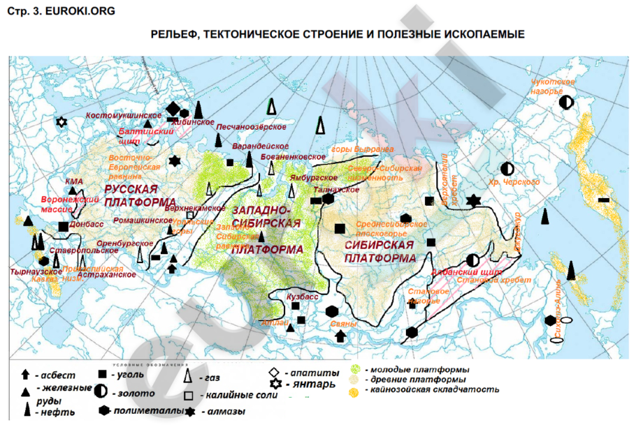Полезные водоросли