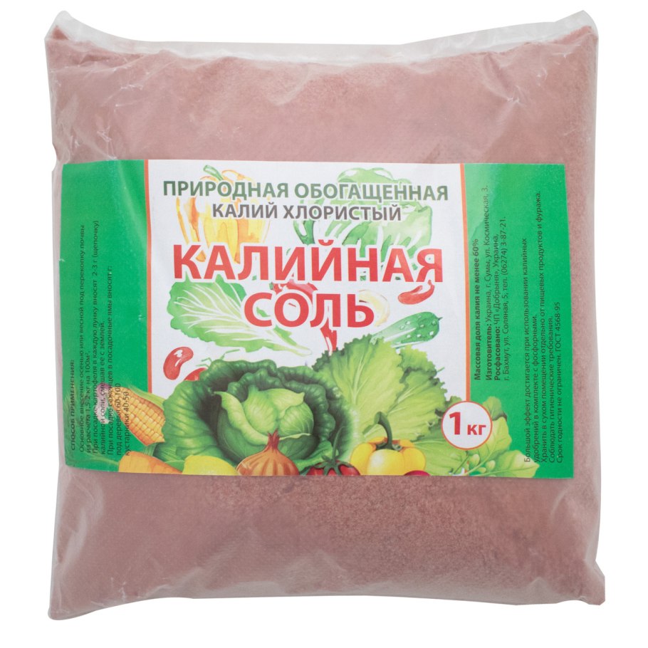 Бурые водоросли представители