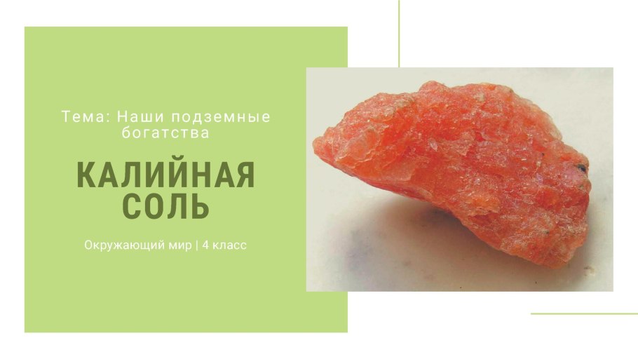 Калийная соль 4 класс окружающий мир