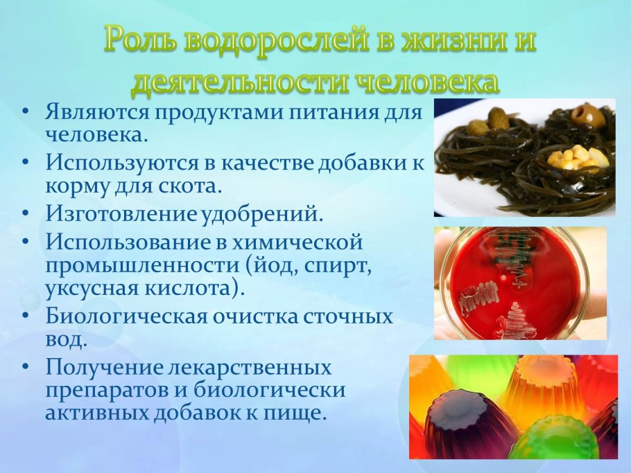 Laminaria shop лого