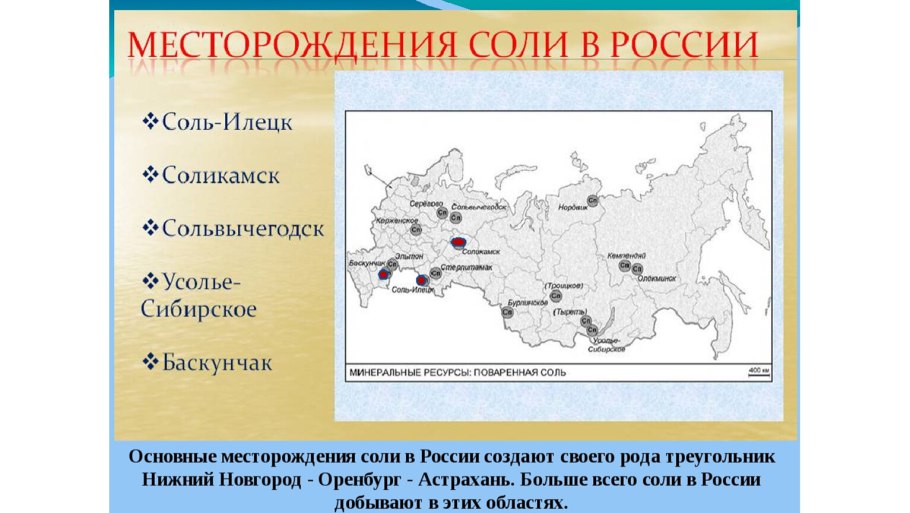 Таблица по биологии многообразие водорослей
