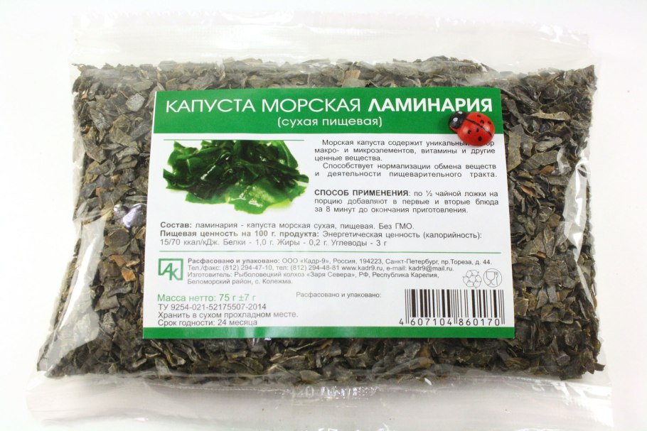 Классификация высших споровых растений схема