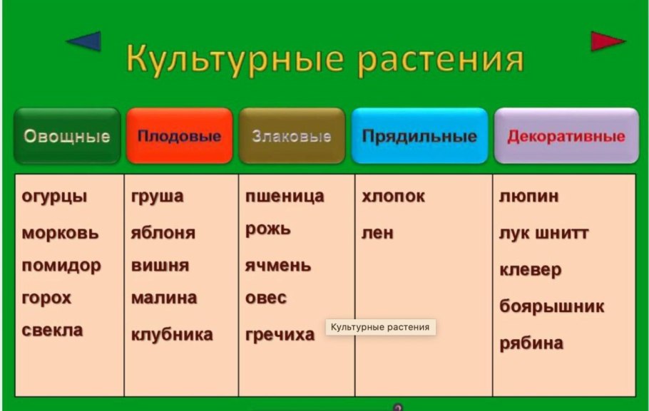 Группы культурных растений
