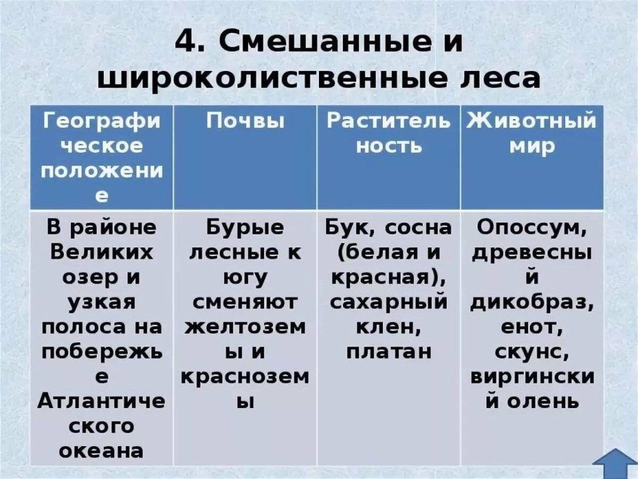 Зона смешанных широколиственно-хвойных лесов таблица