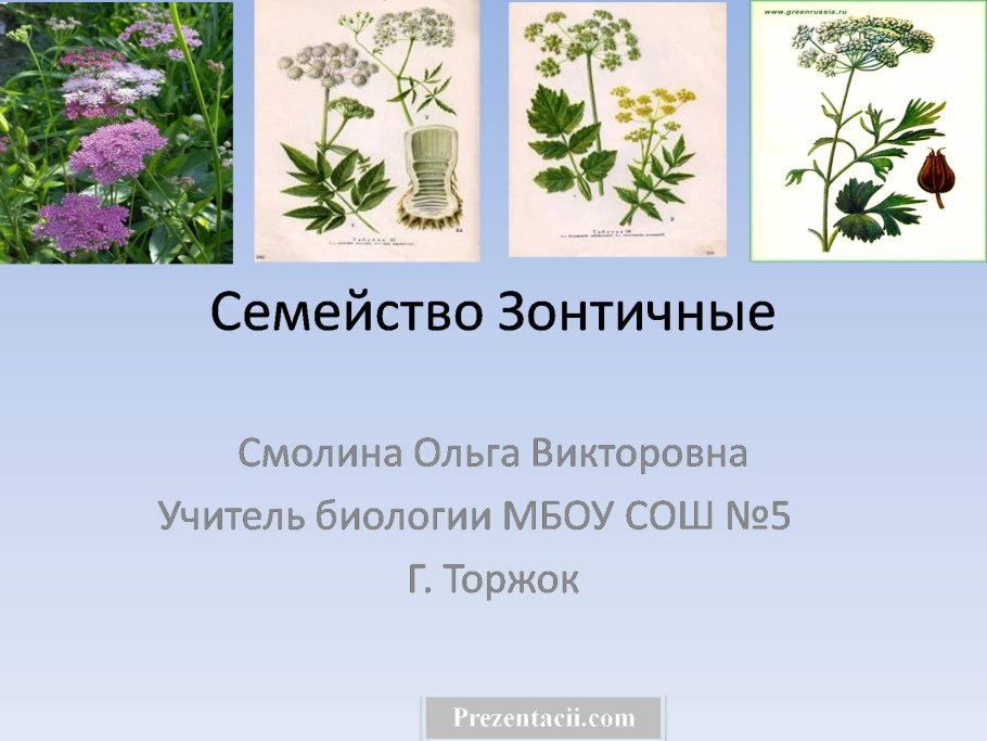 Формула злаковых растений