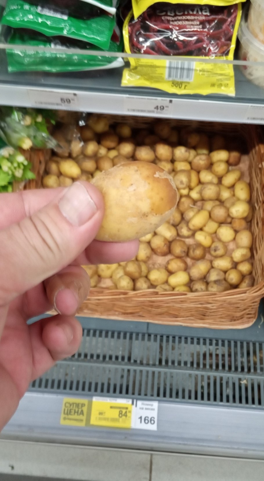 Сорт картофеля бейби