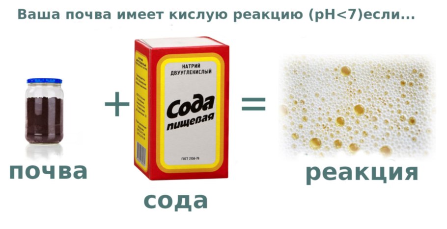 Растения индикаторы