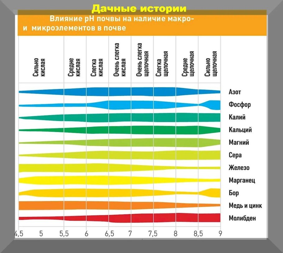 Таблица кислотности почвы для огородных растений