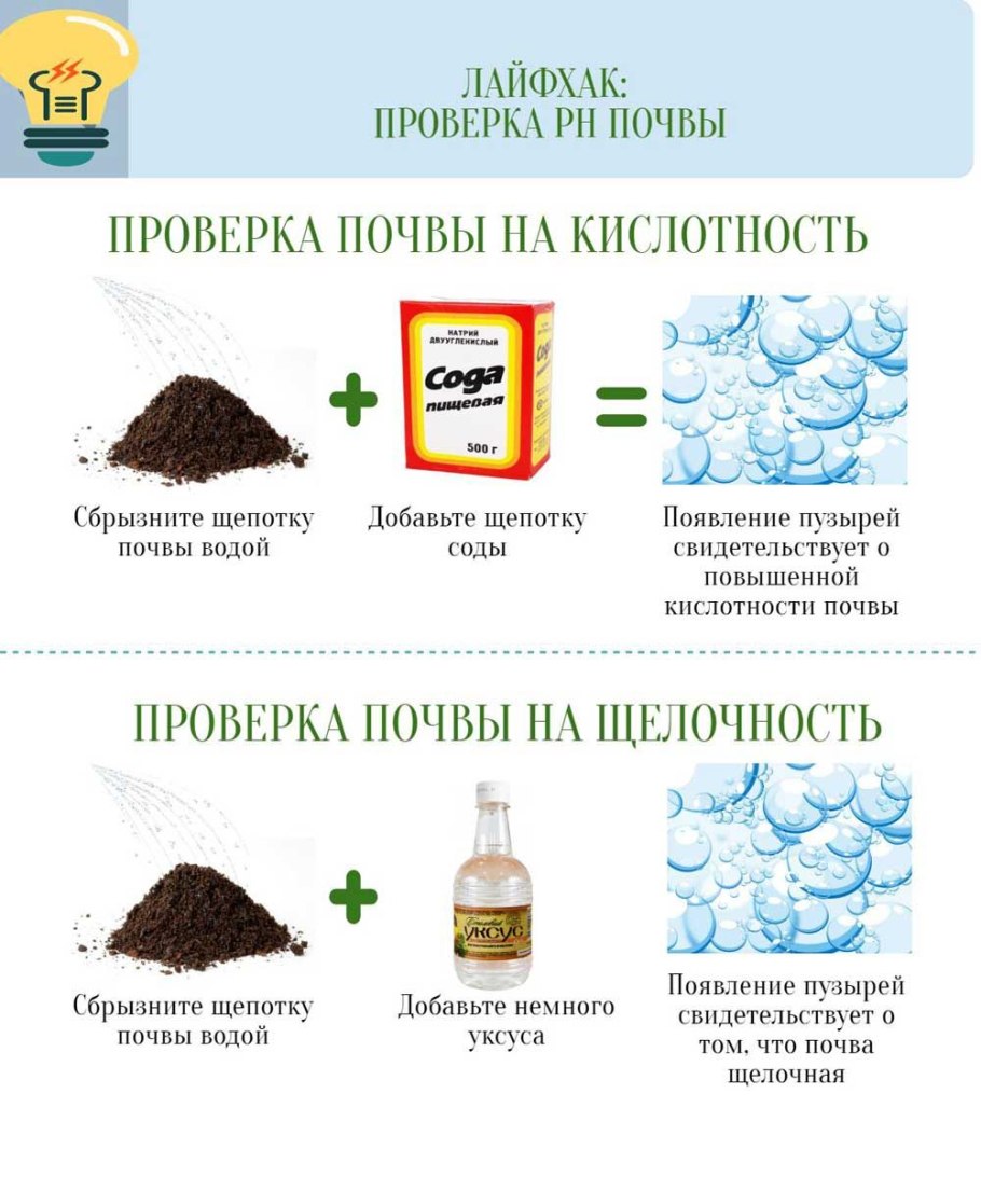 Почва состав почвы