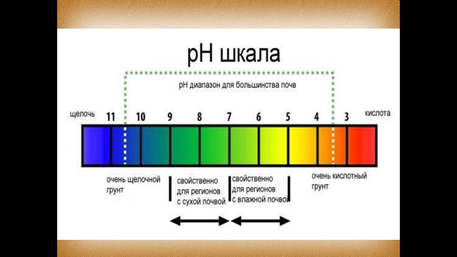 Кислотность почвы таблица для овощей