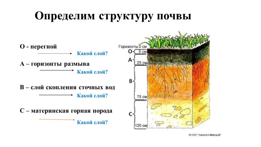 Закисленность почвы