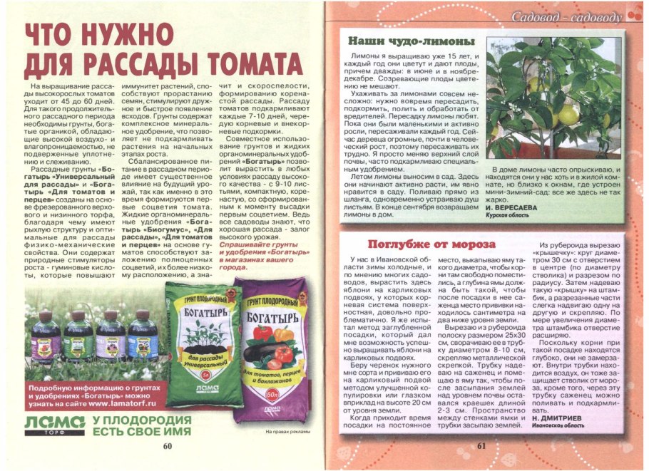 Органы растения вегетативные и генеративные схема