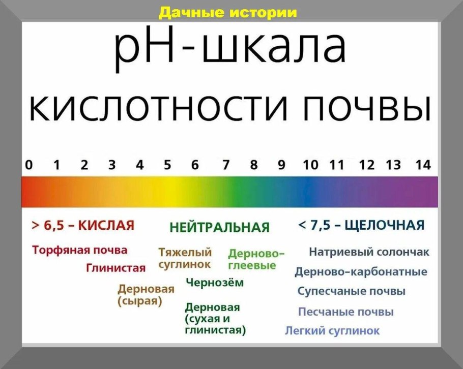 Таблица кислотности почвы для огородных растений