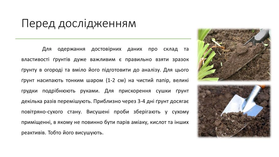 Что растет на глинистой почве