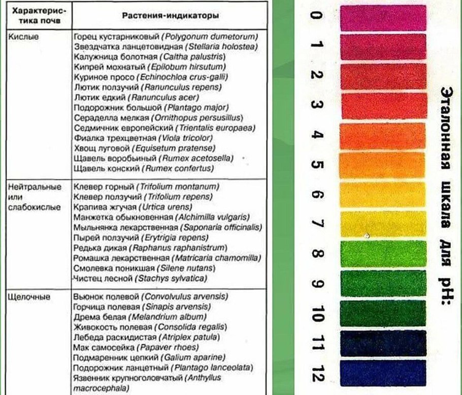 Каким индикатором измерить кислотность почвы