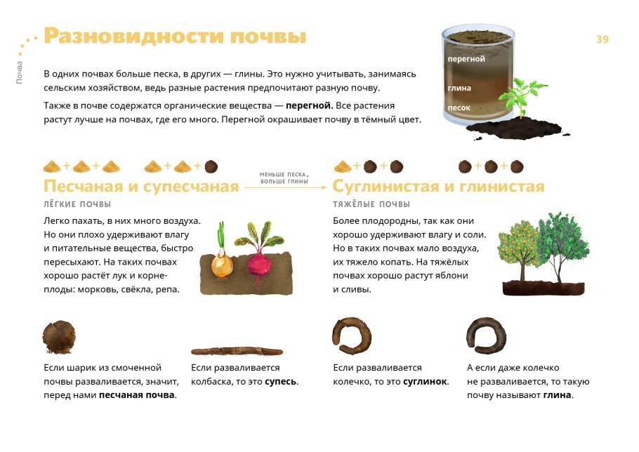 Шкала таблица кислотности почвы