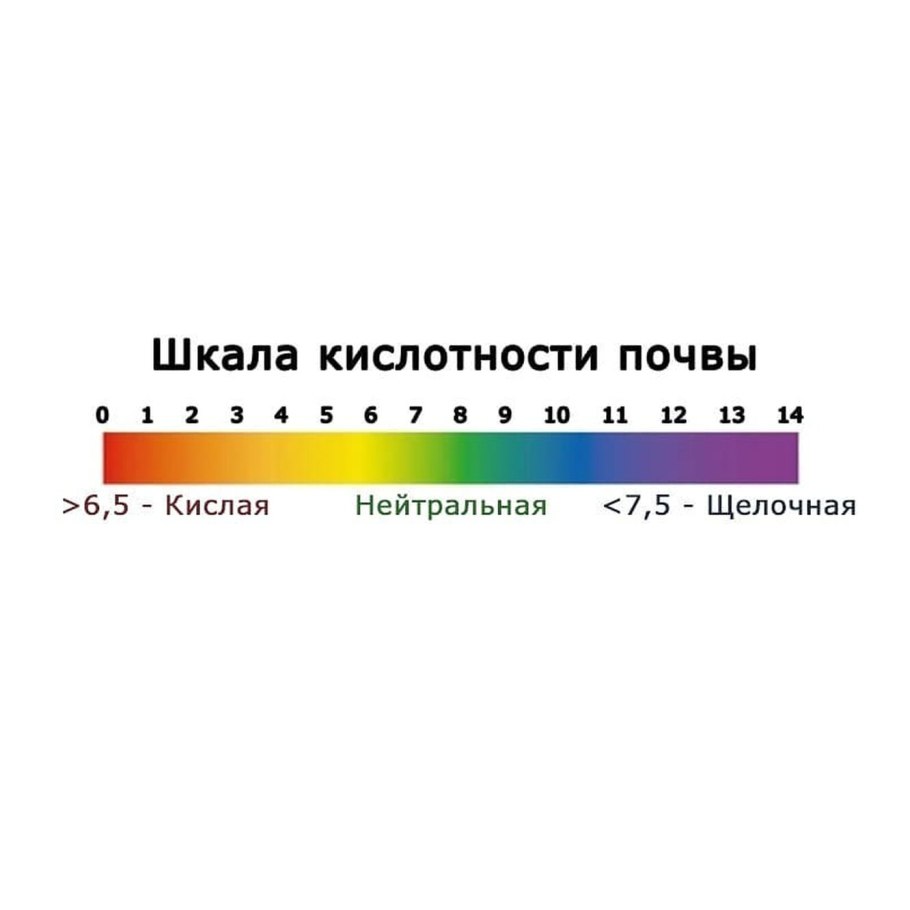 Кислотность почвы