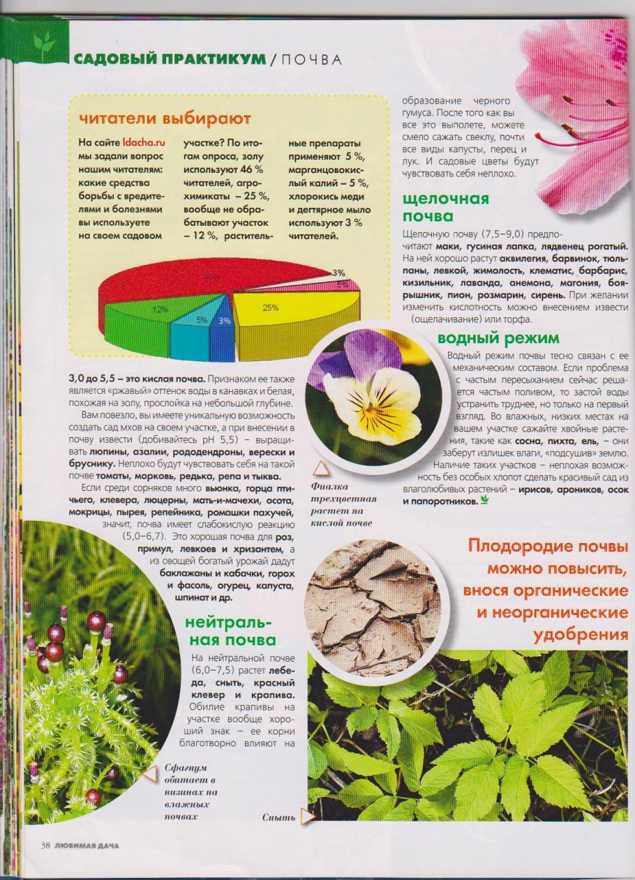 Весна Росток