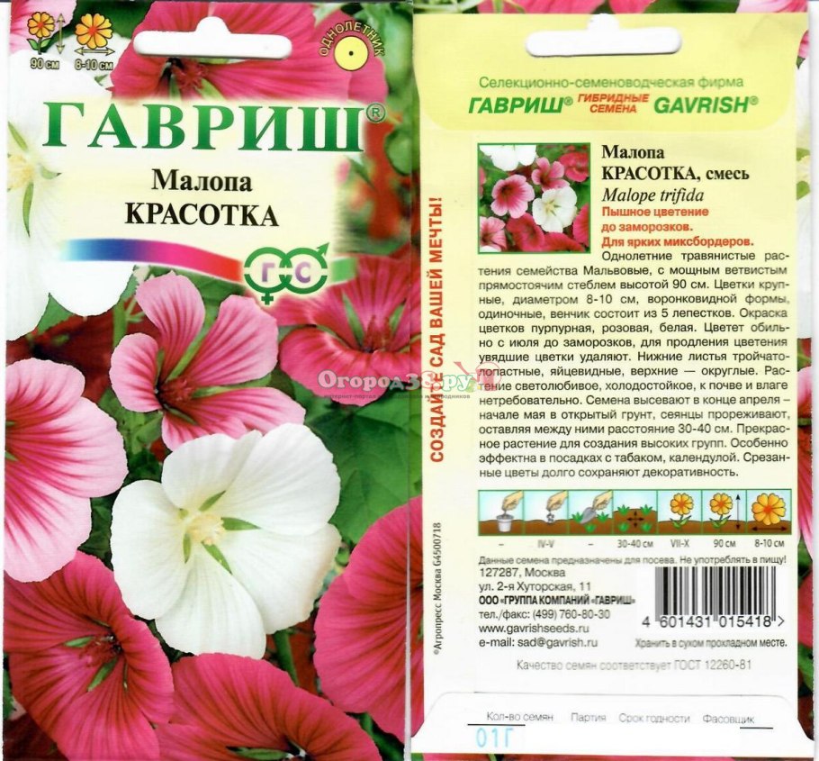 Лаватера шелк и кашемир