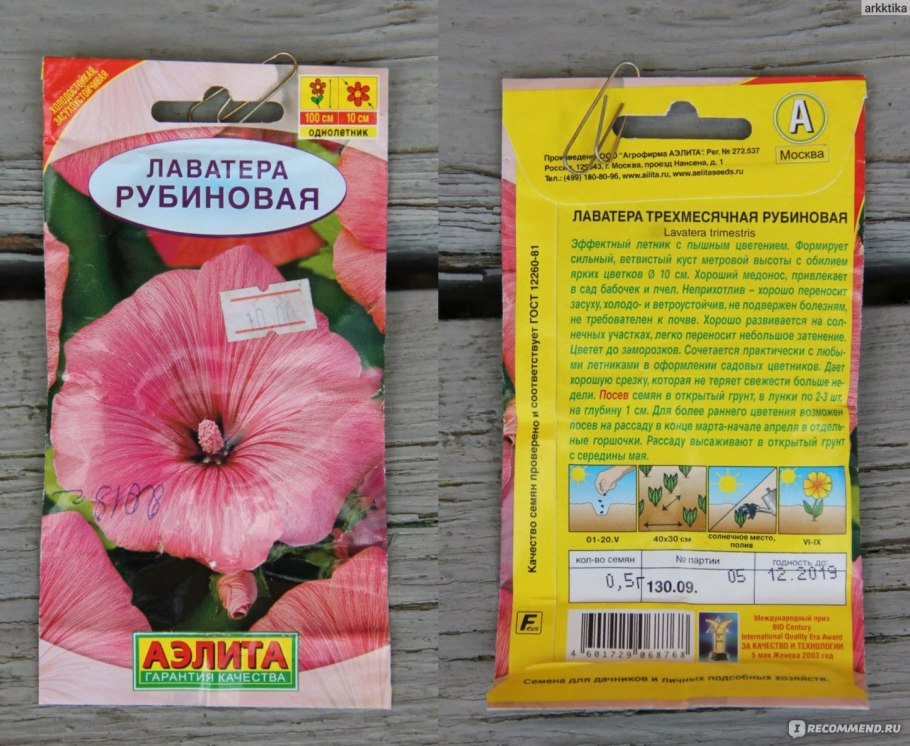 Лаватера Рубиновая Аэлита