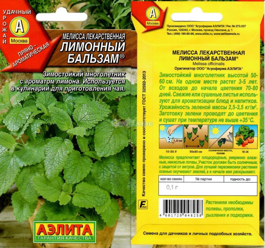 Мелисса лимонная