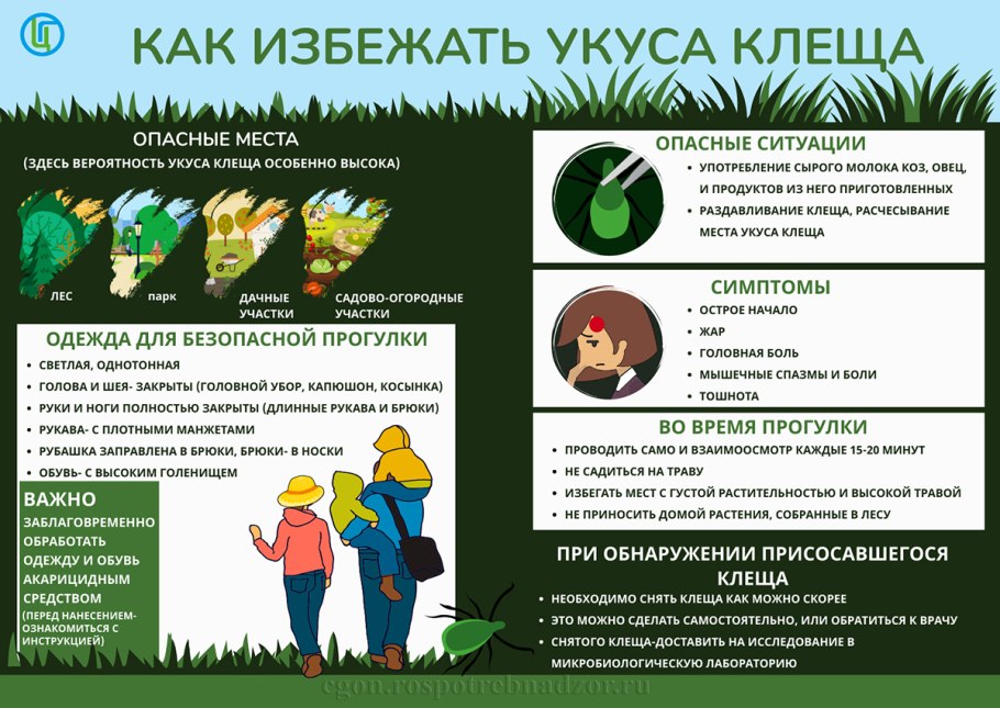 Клещ памятка Роспотребнадзор